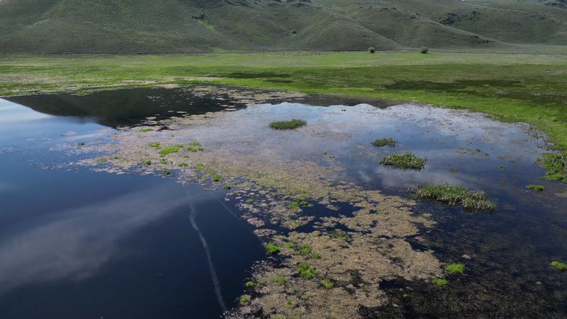 Idaho Is Home To An Ice Age Floods Trail Where Giant Ripple Marks Span Whole Hillsides - Decor Hint Mosquitoes Love The Marsh As Much As You Will