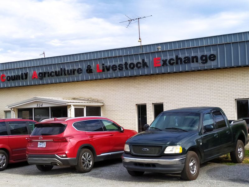 You Can Actually Buy Cattle, Goats And More At This Old-School North Carolina Livestock Auction - Decor Hint Grab A Meal At The Sale Barn Café While The Bidding Continues