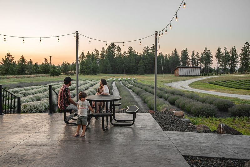 A Family Farm Growing Its Own Way