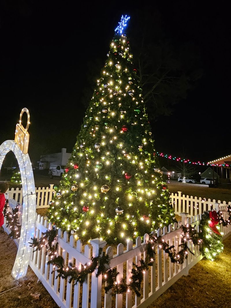 Lights That Keep Perfect Time With Holiday Music