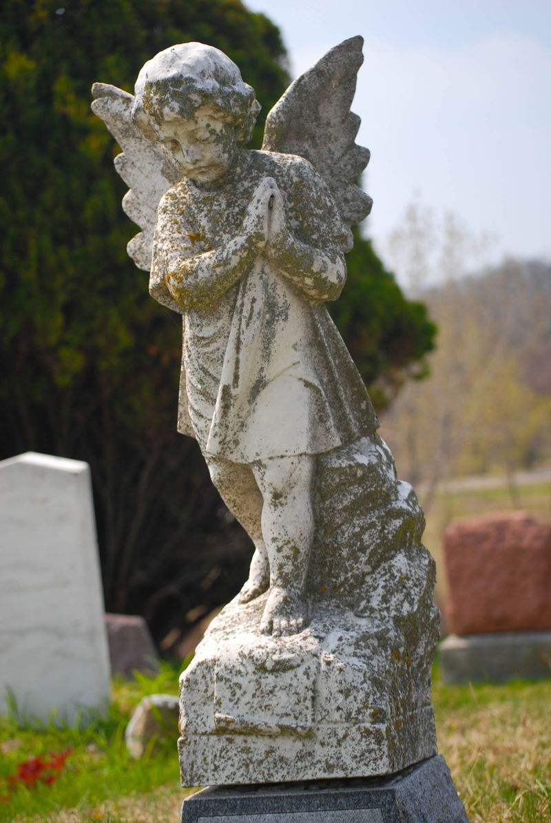 Searching For The Greenwood Bride