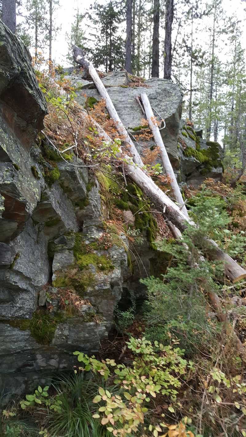 At 7,014 Feet This Idaho Lookout Tower Rents Overnight Stays Above The Treetops - Decor Hint Two Trails Up And Only One Worth Your Knees