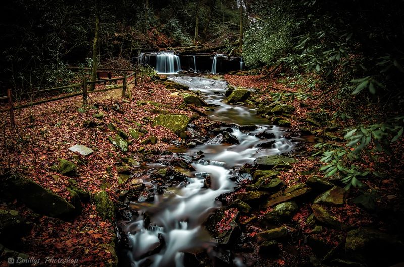 A Garden Club Owns This Waterfall, And You Should Thank Them