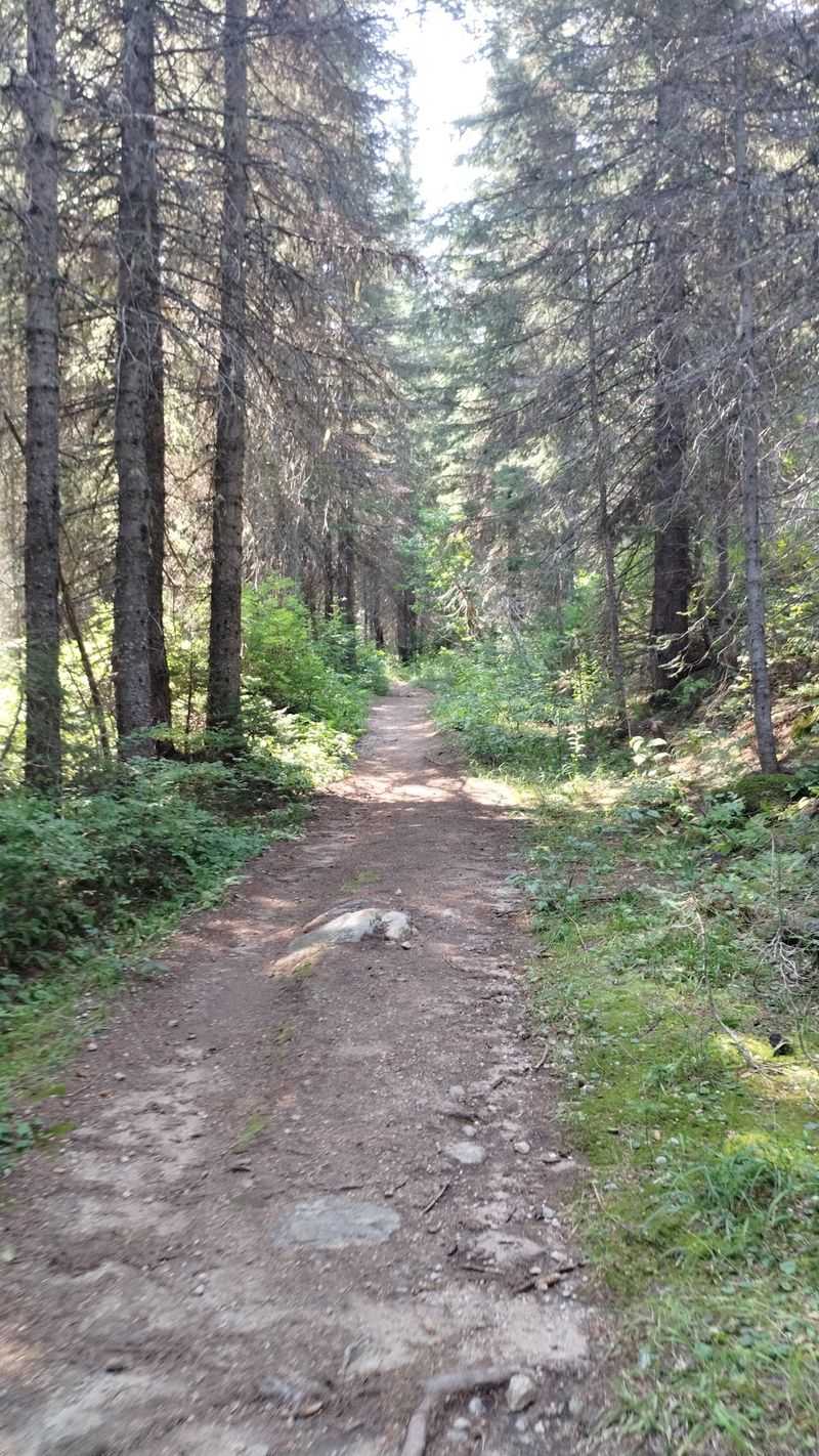 The 4-Mile Idaho Trail That Climbs Granite To Reach An Alpine Lake In The Selkirks - Decor Hint A Panhandle Trailhead Near Naples