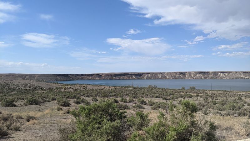 Rockhounds Hunt Blue Agate And Petrified Wood Along This Idaho Reservoir Shoreline When Water Drops In Fall - Decor Hint Petrified Wood And The 25-Pound Rule