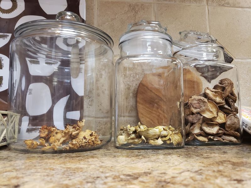 Lion's Mane, Maitake, And Other Mushrooms Your Grocery Store Skips
