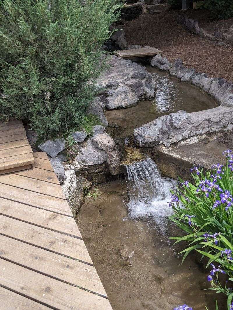 Koi, Ponds, And Water Around Every Corner