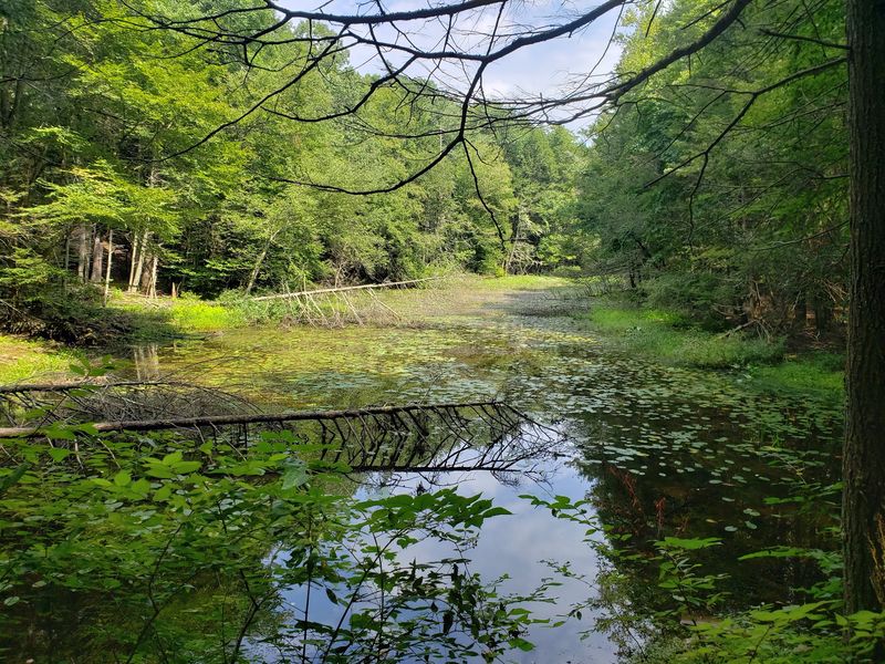 A Calm Reservoir Offers A Breather From The Ruins