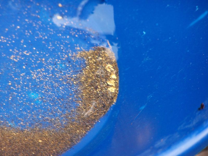 Why A Claim Of Your Own Changes The Whole Gold Panning Game