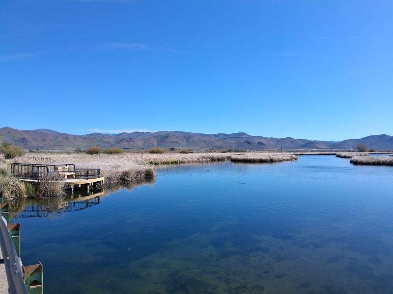 Float Tubes, Wading Spots, And A Bridge Project To Know About