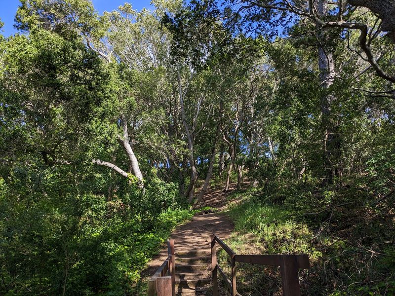Mills Canyon And Its Wooded Hiking Trails