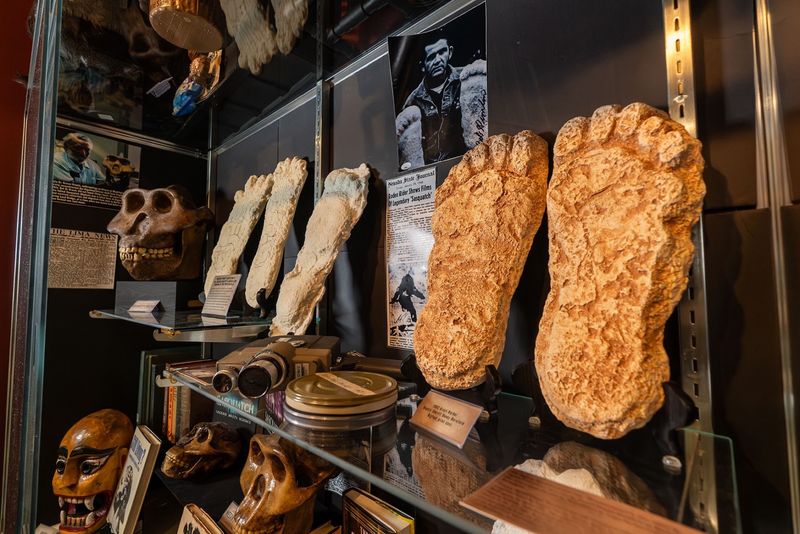 This Michigan Museum Has A Petrified Fairy, Chupacabra Skull, And Thousands Of Strange Little Treasures - Decor Hint Bigfoot, Dogman, And Bessie All Get Their Moment Here