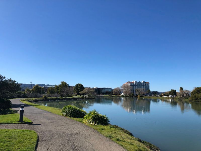 The Waterfront Walking Paths With Views Across San Francisco Bay
