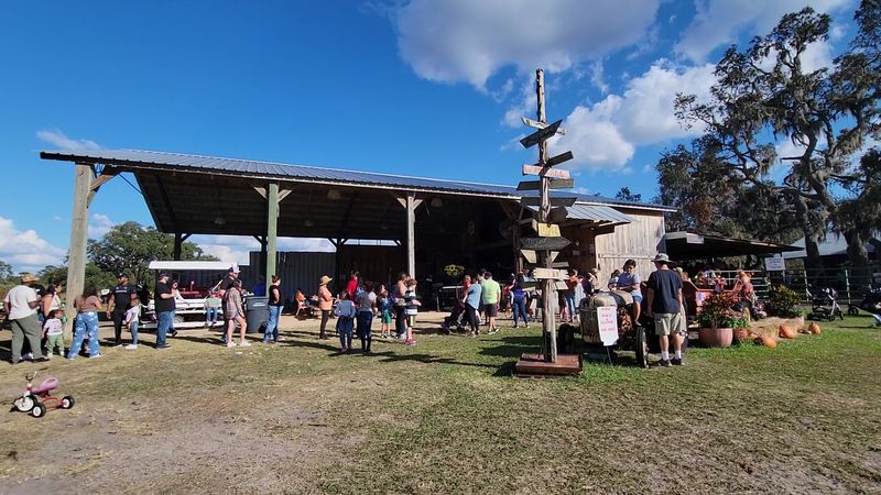 Corn Pits, Sand and a Sandbox Built for Giants