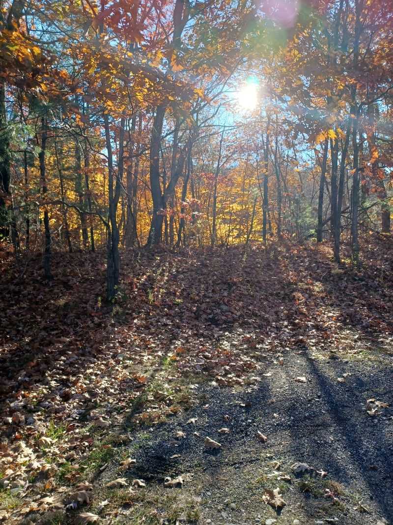 Hills Give Autumn Plenty Of Room To Show Off