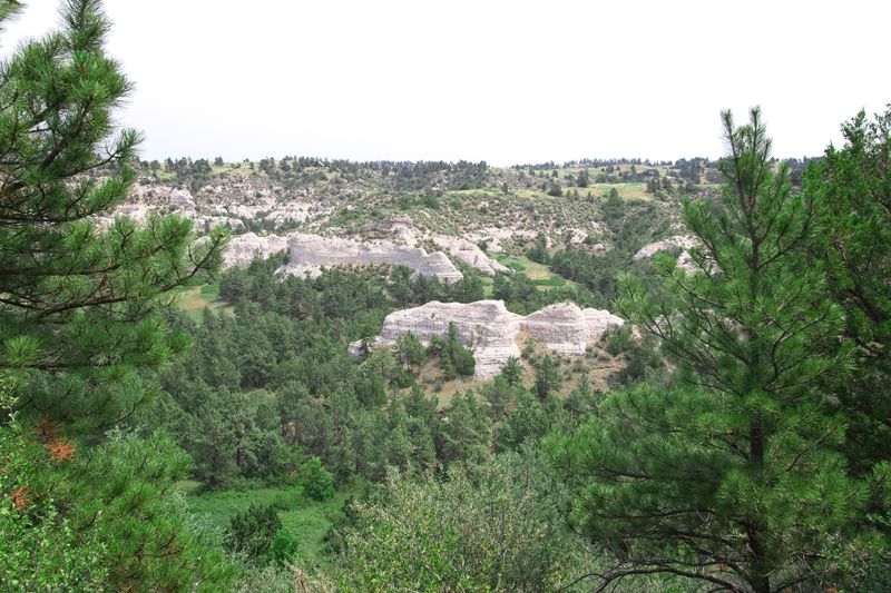A Wild Guest List Beyond The Bighorns