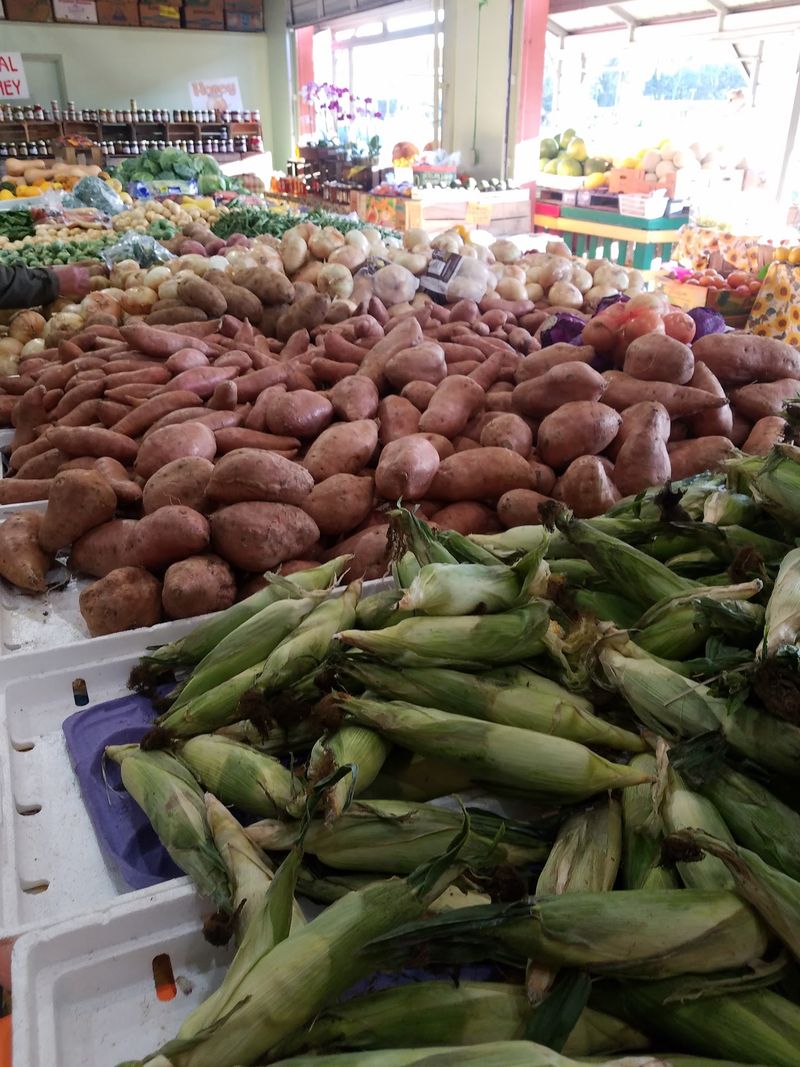 April & Jeff’s Farmhouse Produce, Chiefland, FL