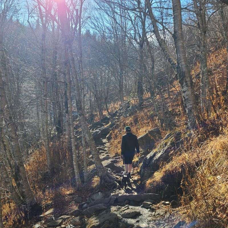 This Short North Carolina Hike Leads To Breathtaking Fall Scenery And Two Stunning Waterfalls - Decor Hint Keep Going Through The Meadow To Reach The More Secluded Upper Falls