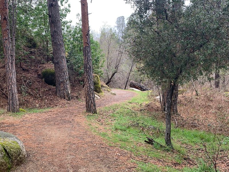 The Trail Begins Just Outside Historic Nevada City