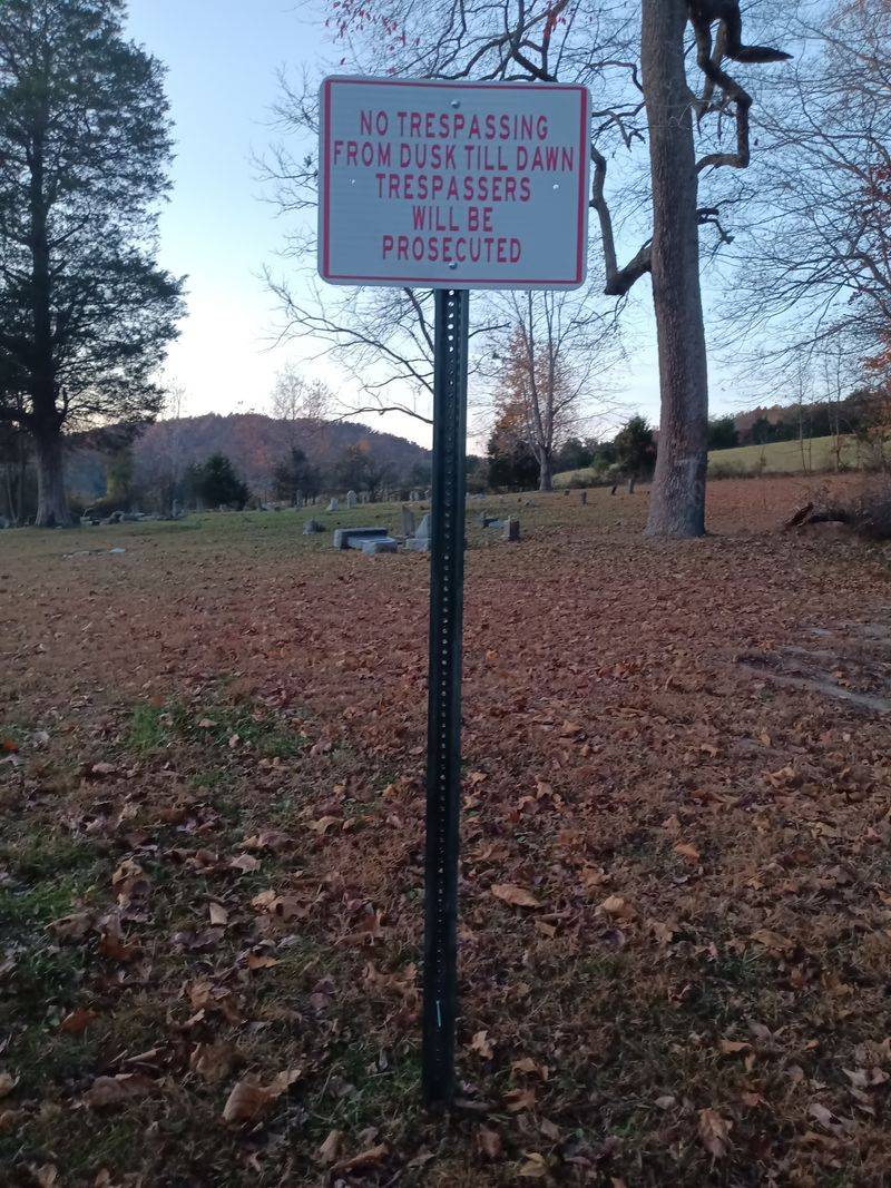 Daylight Rules For Curious Visitors