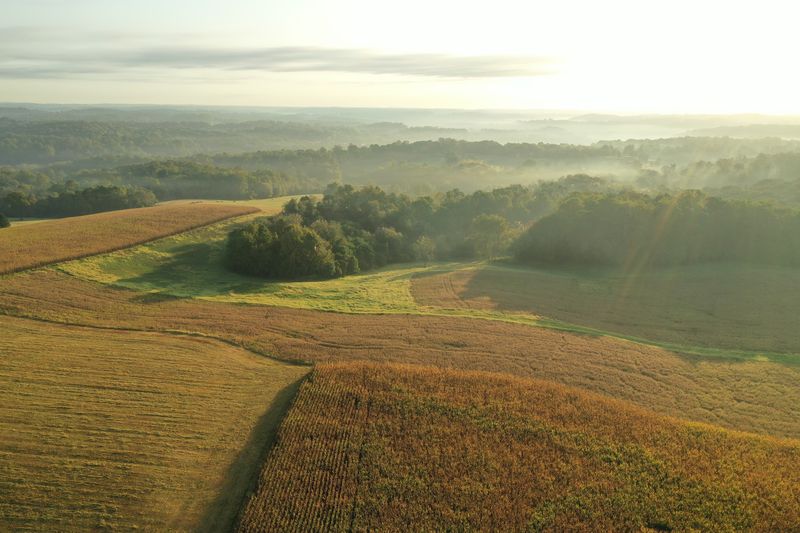 Four Words That Swapped A Mansion For A Meadow