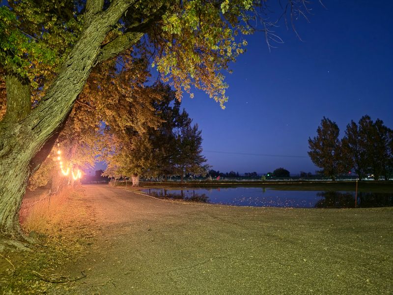 Visitors Take A Spooky House Tour, Then Walk Through This Haunted Idaho Hospital - Decor Hint Fire Pit Seats And A Zip Line Make The Wait Easier