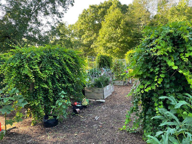 Garden Beds, Herb Patches, And Mushroom Walks Fill Every Corner