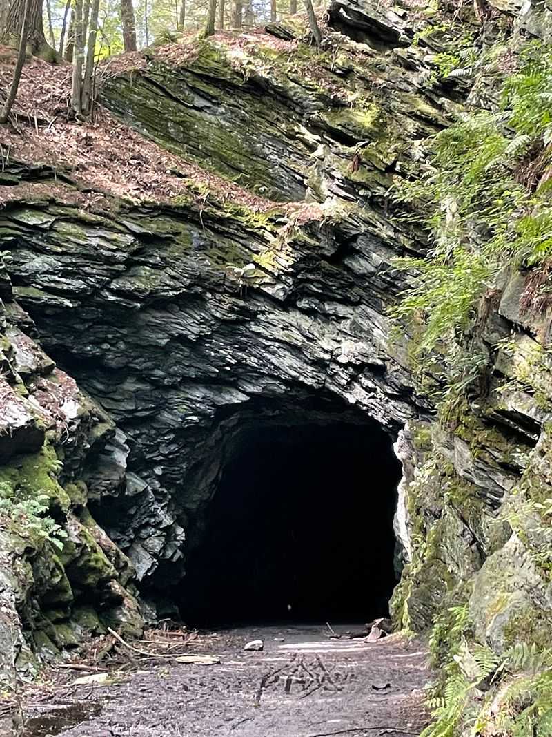 A Railroad Tunnel You Can Actually Walk Through