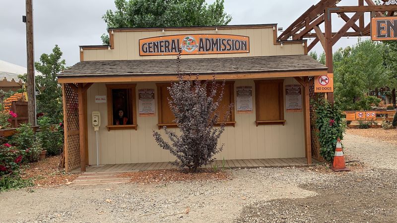 What Visitors Should Know Before Buying Tickets