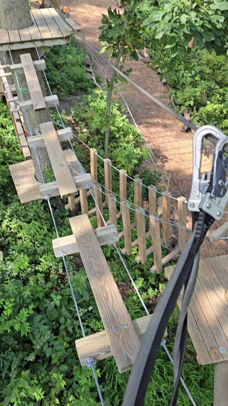 Ziplines and Rope Bridges High in the Canopy