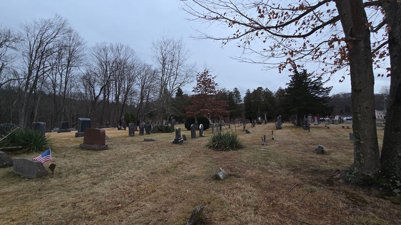 Whispers, Lanterns, And A Vanishing Dog