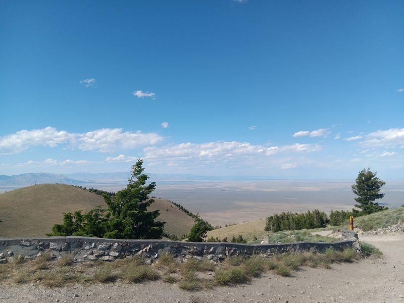 Boots, Saddles, And Binoculars