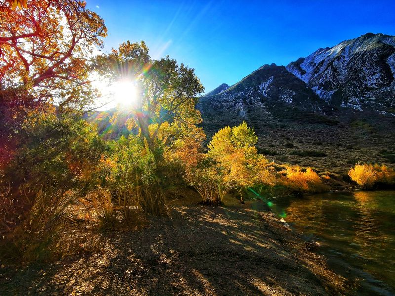 October Brings The Color Into Focus