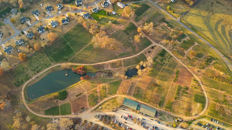 A Green Welcome That Stretches For Acres