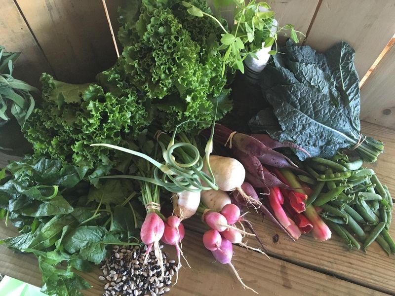 Vegetables That Never Met A Synthetic Spray