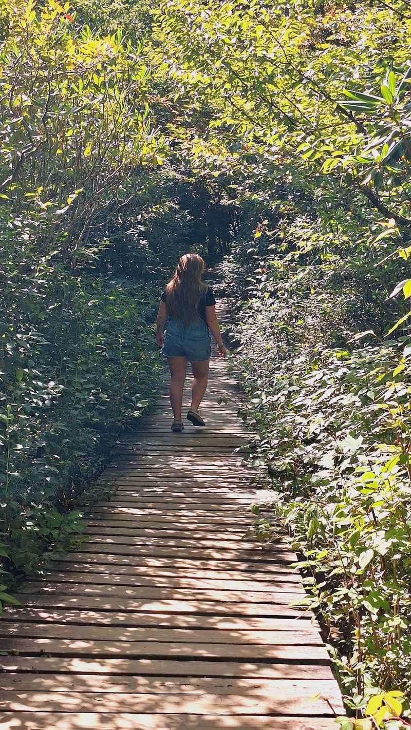 This Short North Carolina Hike Leads To Breathtaking Fall Scenery And Two Stunning Waterfalls - Decor Hint Rocky Creek Crossings Make The Upper Falls Spur More Adventurous Than The Main Loop