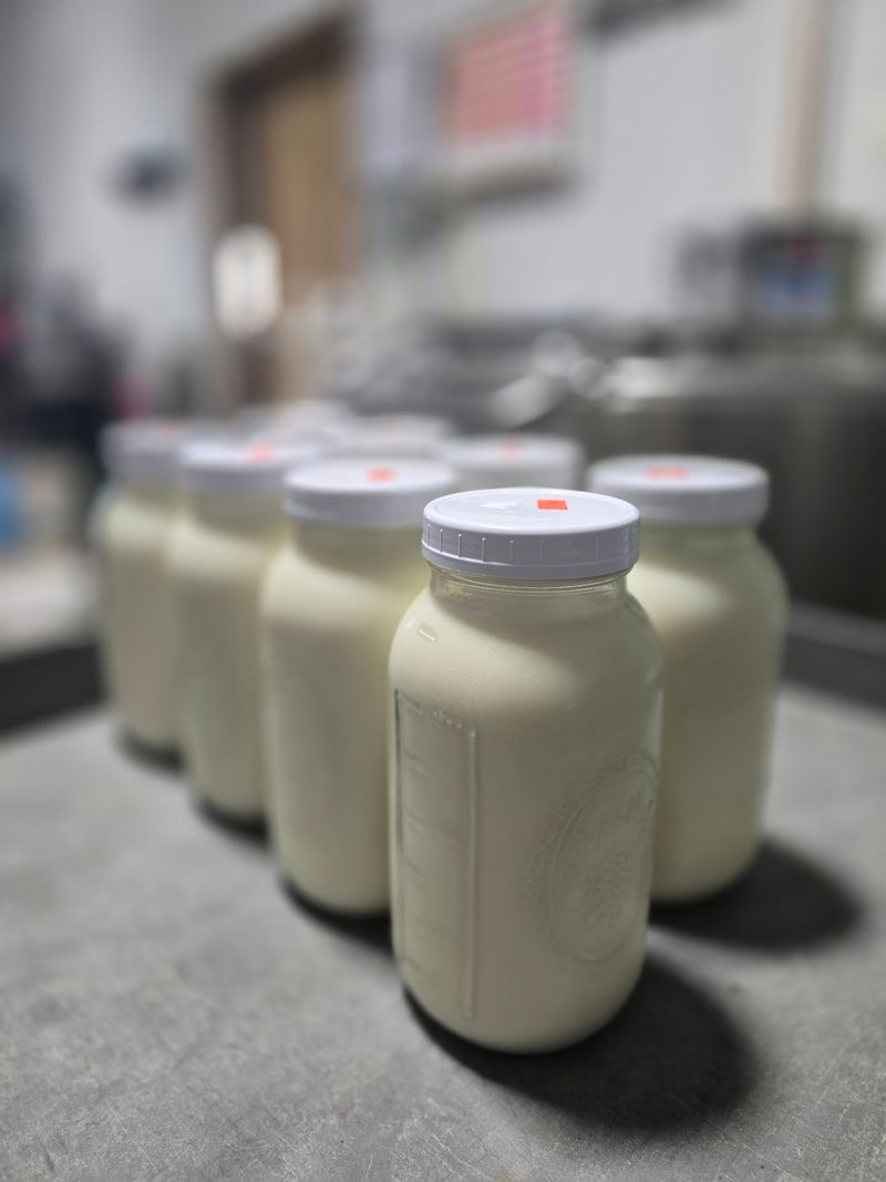 Chapman Family Dairy