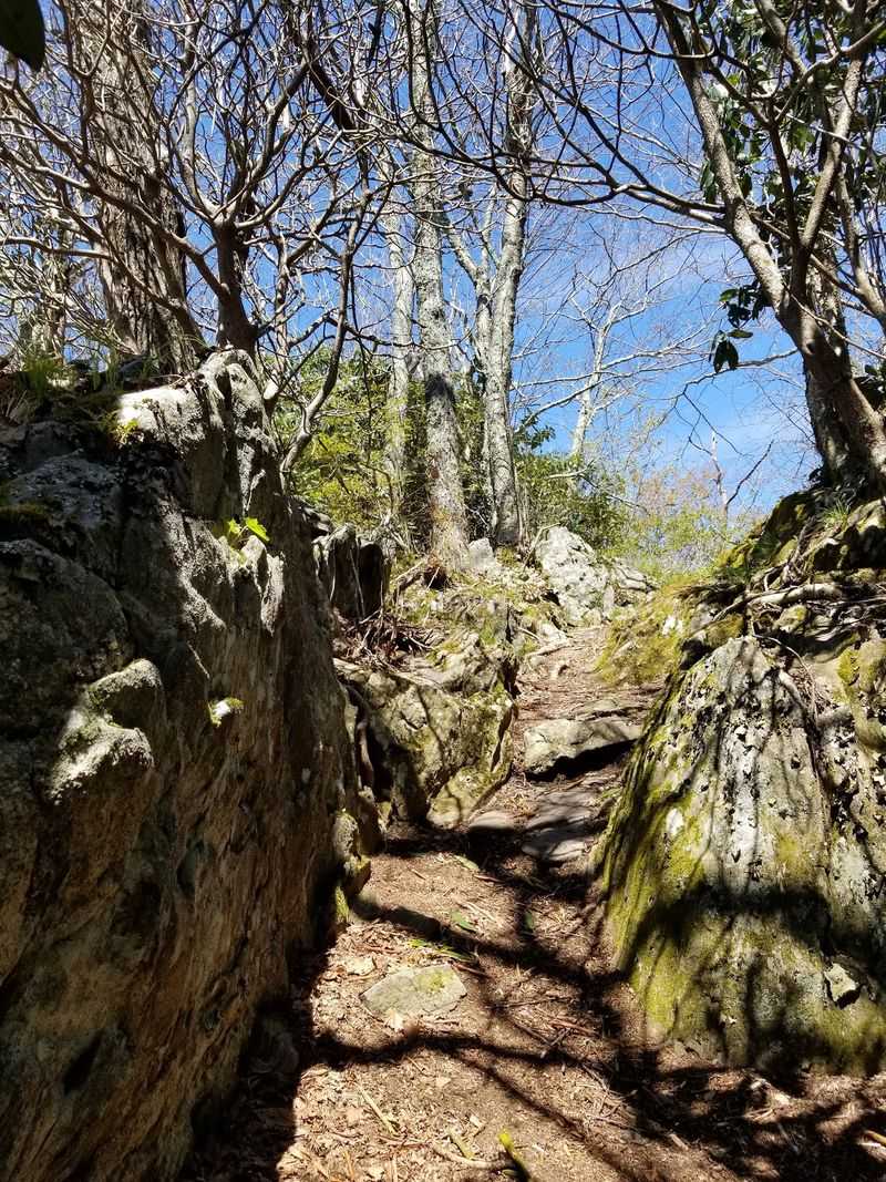 Tropical Storm Fred Completely Changed What Hikers Find Farther Down The Trail