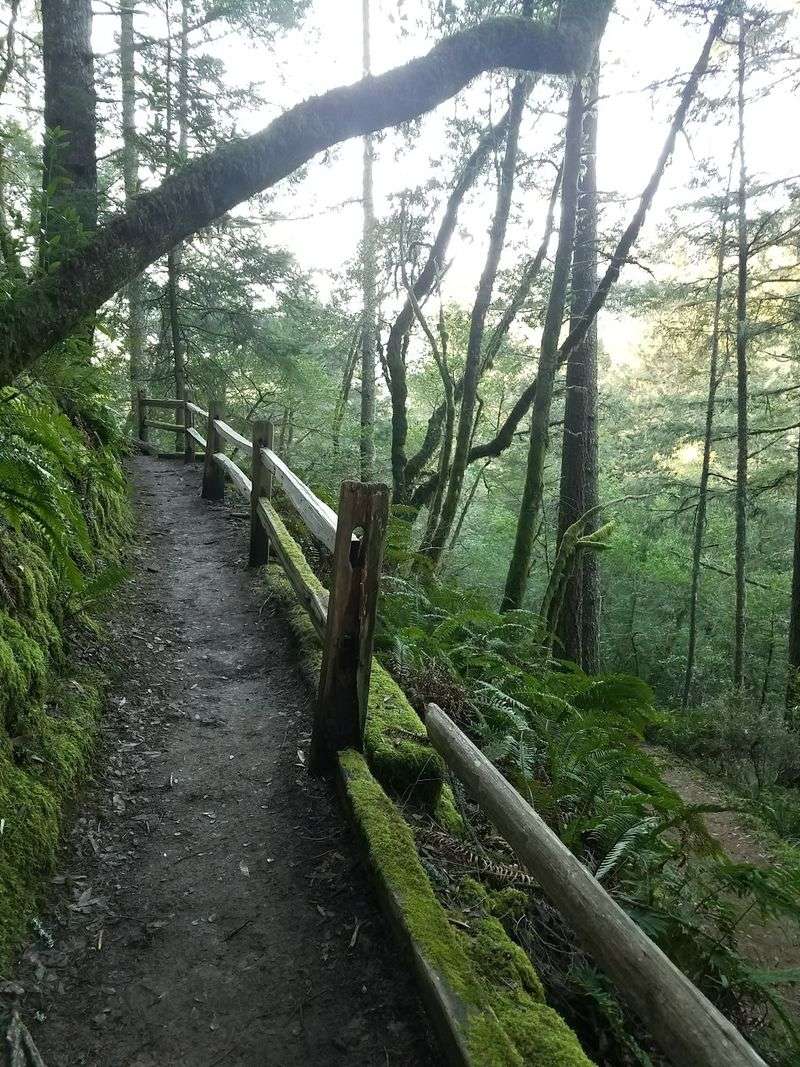 California’s November Hike Of The Month Is A Scenic Trail Worth Exploring Before Winter Arrives - Decor Hint Turn It Into A Loop With Some Famous Neighbors