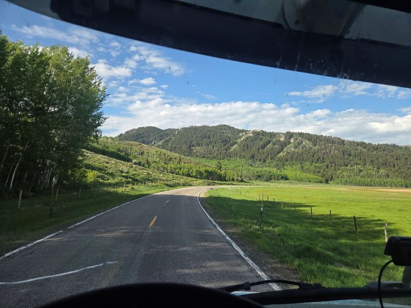 Your Car Doubles As The Best Bird Blind In The Valley