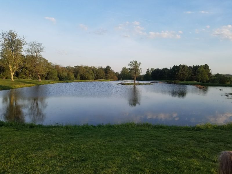 This Small-Town Connecticut Golf Course Is Earning Attention For Its Great Value - Decor Hint Bring Extra Balls For The Woods And Water On The New Course