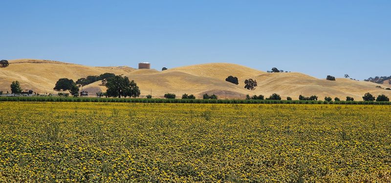 Those Blue Hills Aren't Just Pretty, They Named The Place