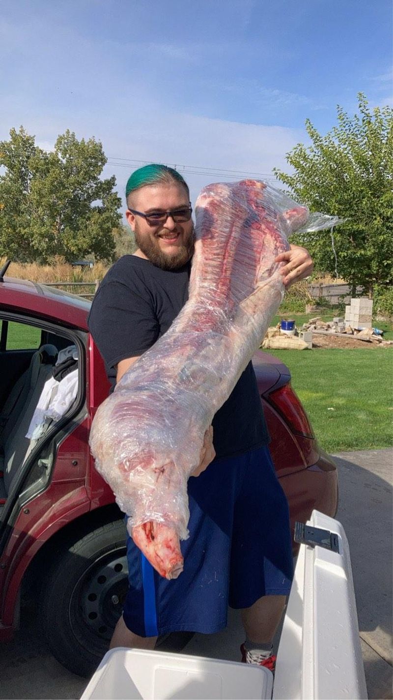 Whole Hogs, Half Pigs, and One Memorable Wedding