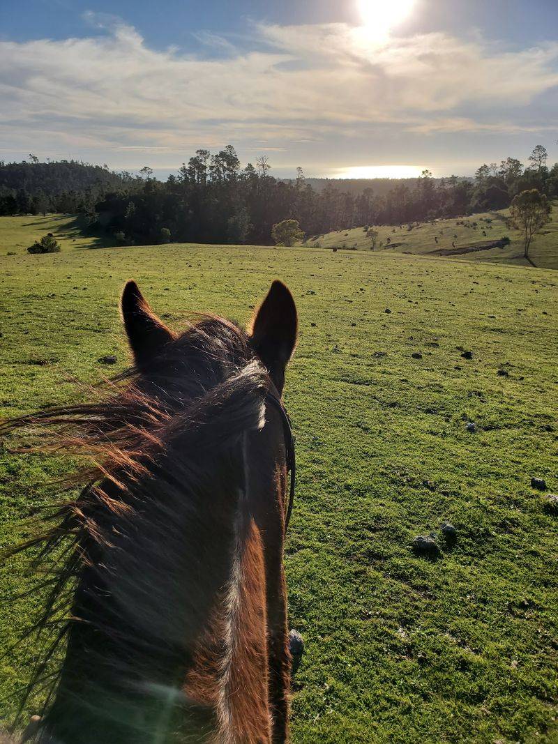 Pacific Ocean Views Make The Ride Even More Special