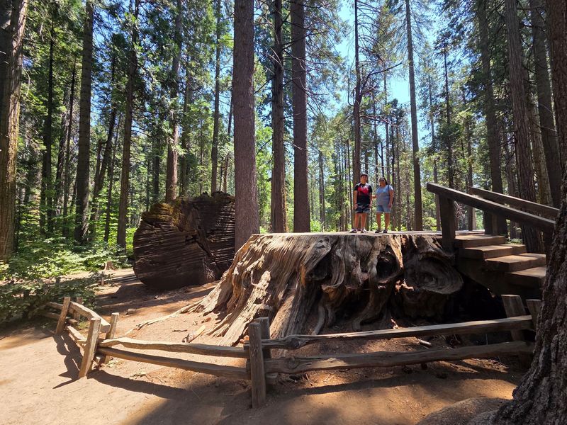More Than 1,000 Miles Of Hiking Trails