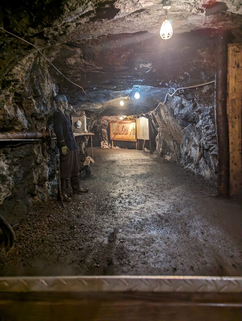 Guides Who Know Coal From The Inside Out