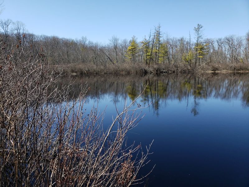 This Nearly 800-Acre Connecticut State Park Feels Almost Completely Forgotten - Decor Hint A Mountaintop Bog Named For Someone Special