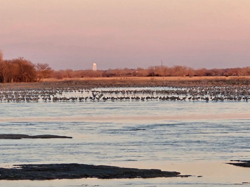 Hundreds Of Sandhill Cranes Leave But This Nebraska River Center Keeps Its Blind Open All Year - Decor Hint Spring Crane Season at the Blinds