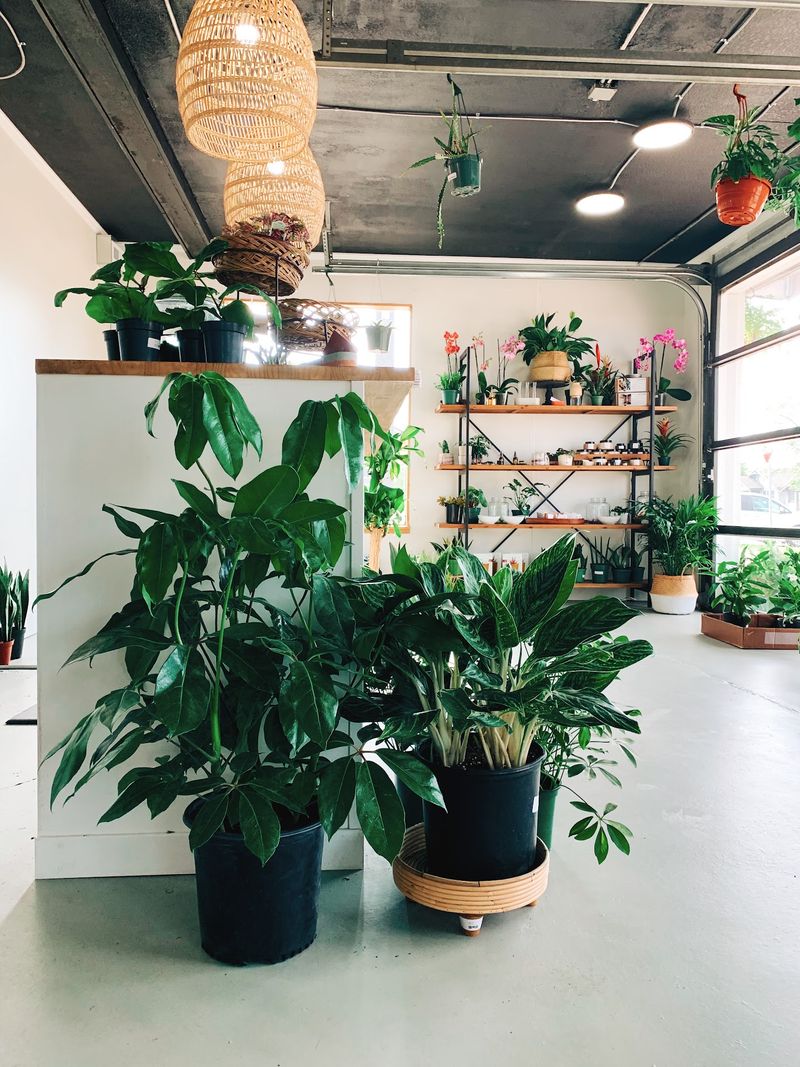 Rooted Plant Co.