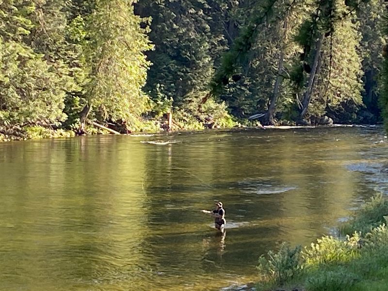 Pack The Fly Rod And Keep The Binoculars Handy